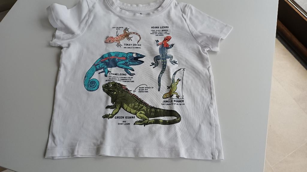 T-shirtje - Maat 104, Garçon ou Fille, C&A, Enlèvement ou Envoi, Chemise ou À manches longues