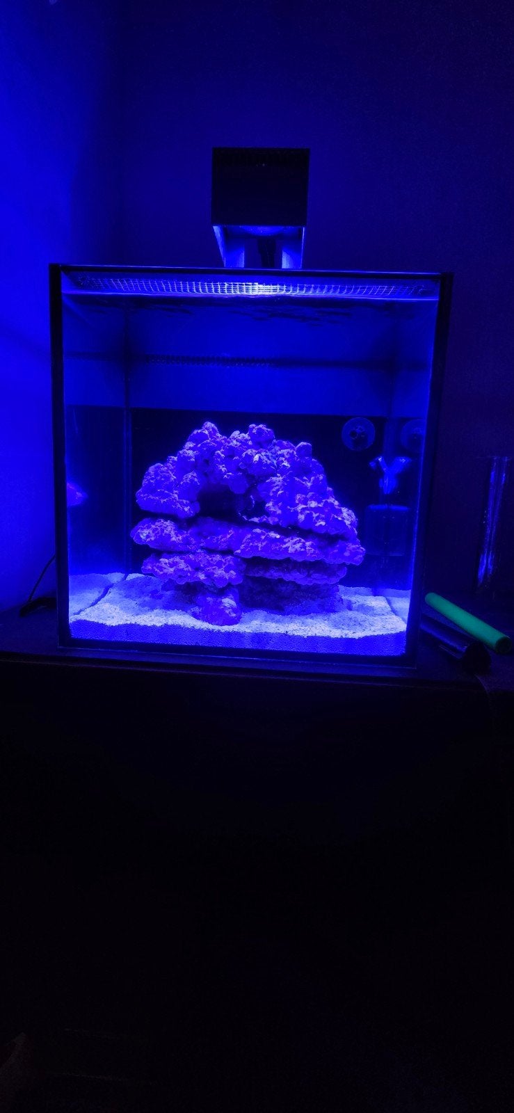 Red sea max nano g2, Dieren en Toebehoren, Ophalen, Inclusief toebehoren, Red Sea