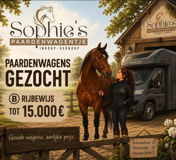 Paarden camionette gezocht, Enlèvement