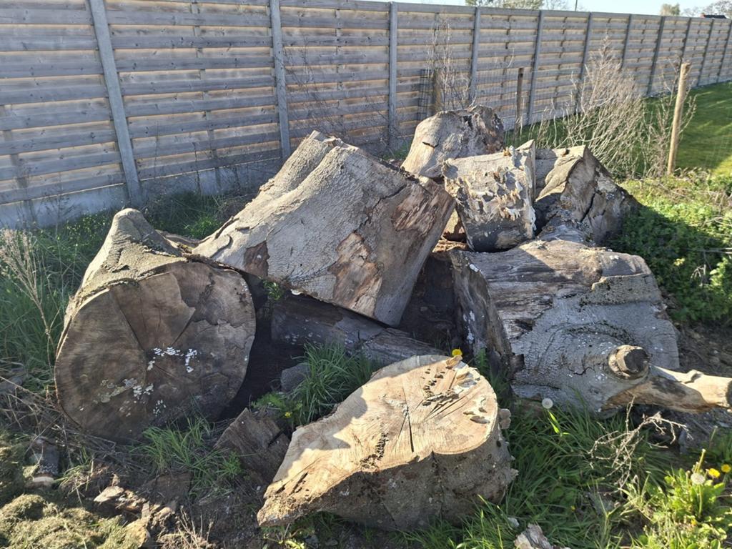 Groote hout blokken, Tuin en Terras, Brandhout, Ophalen, Blokken