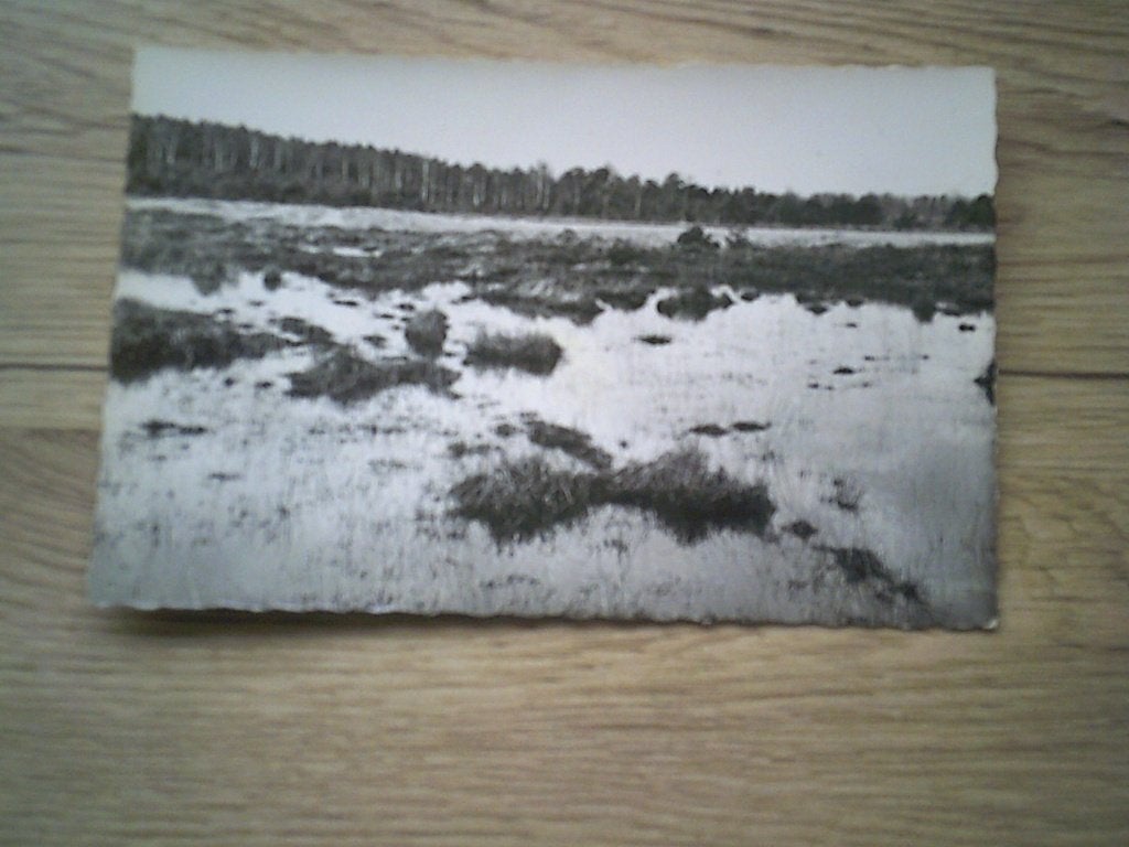 HEIDE - KALMTHOUT: Natuurreservaat. Nabij de Putse Moer, Ophalen of Verzenden, 1920 tot 1940, Ongelopen, Antwerpen