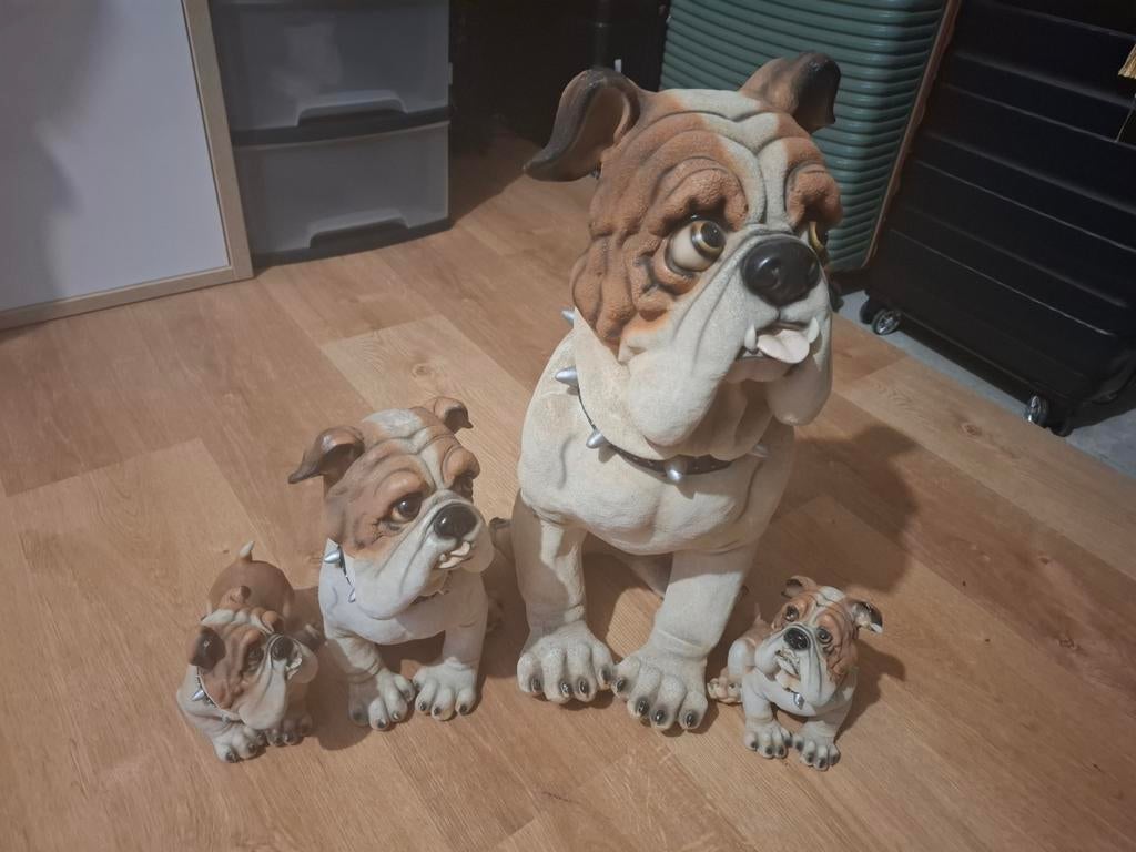 Beeldjes engelse bulldog, Ophalen