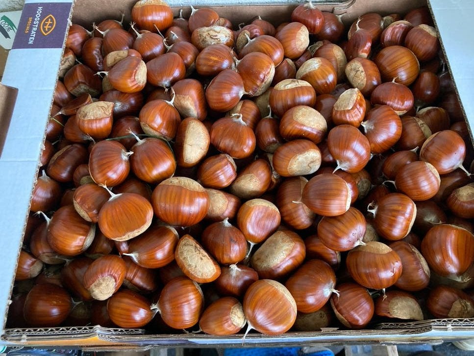 Verse kastanjes (ras Marigoule) €3,50/kg, Diversen, Ophalen