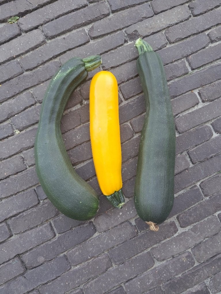3 courgettes, Ophalen