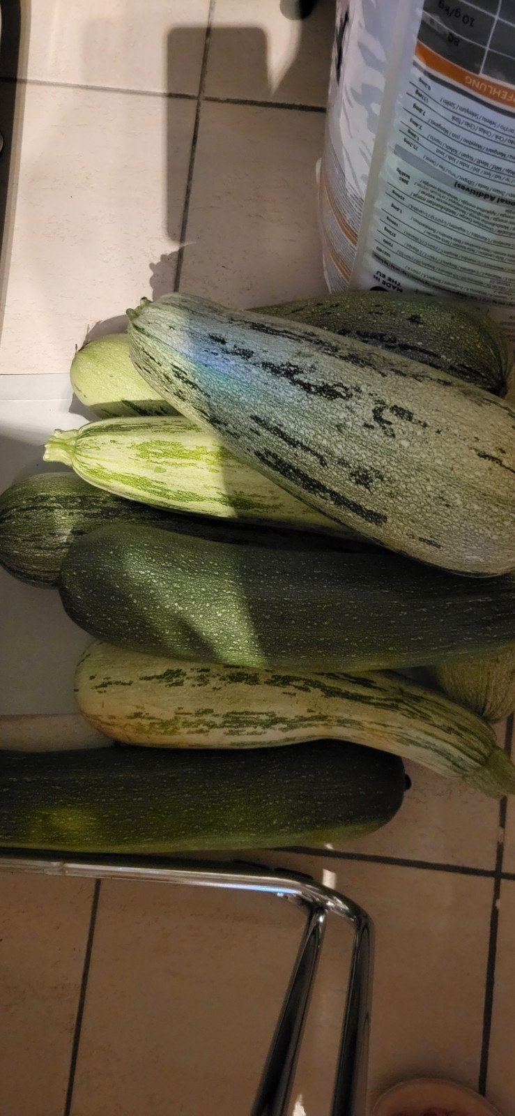 verse courgette! eigen teelt, bio, Diversen, Ophalen