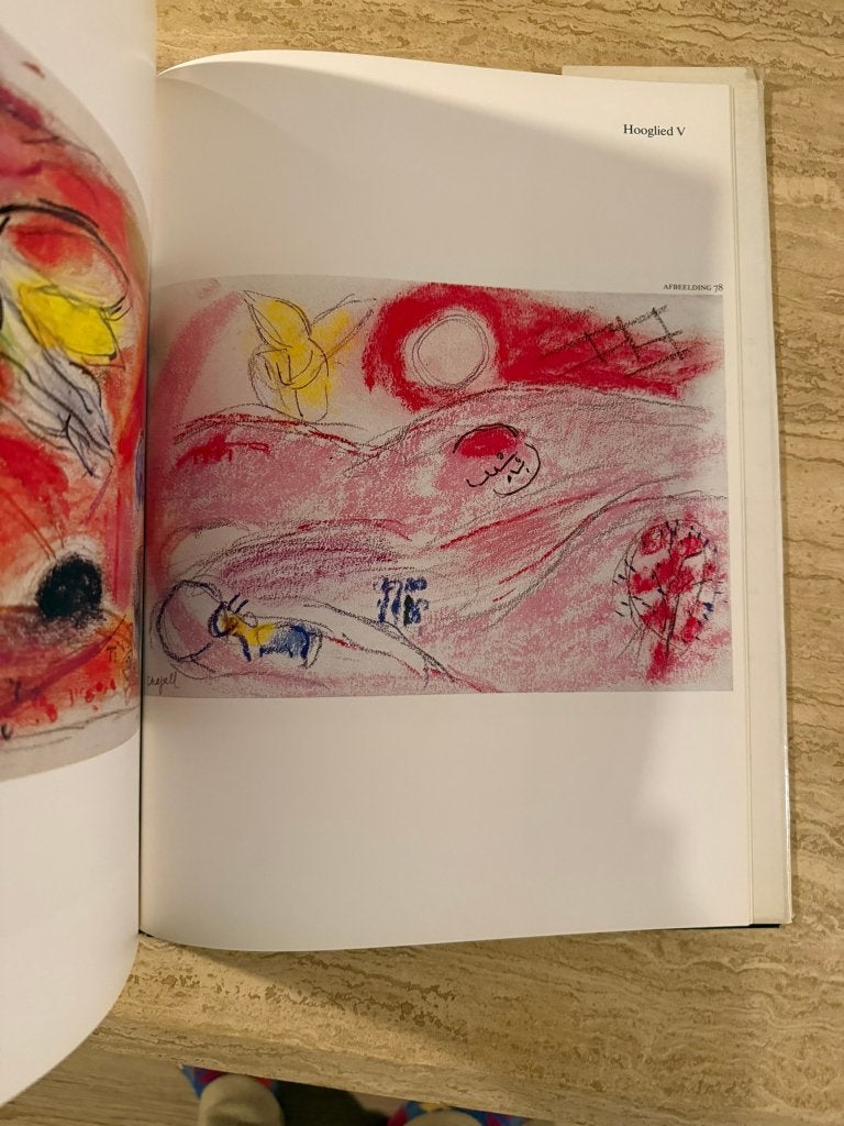 Bijbelse boodschap van chagall in pastel - P Provoyeur, Livres, Art & Culture | Arts plastiques, Peinture et dessin, Enlèvement ou Envoi