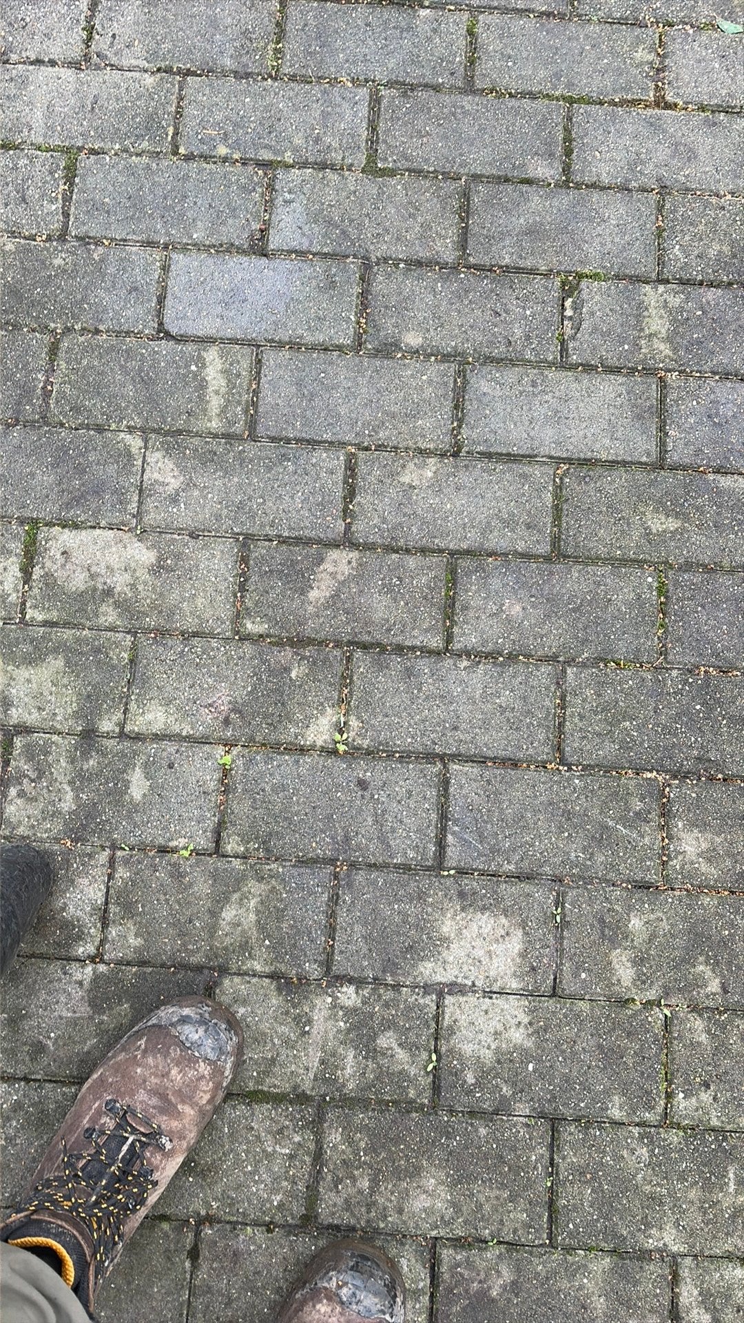 Gratis klinkers, Jardin & Terrasse, Enlèvement, Comme neuf, Briques