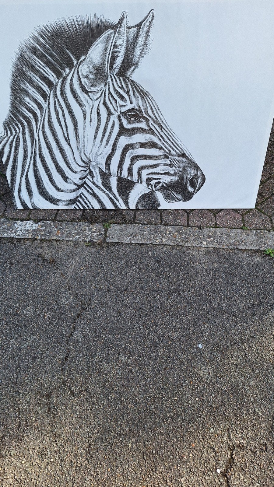 3 posters op kader, Huis en Inrichting, Ophalen