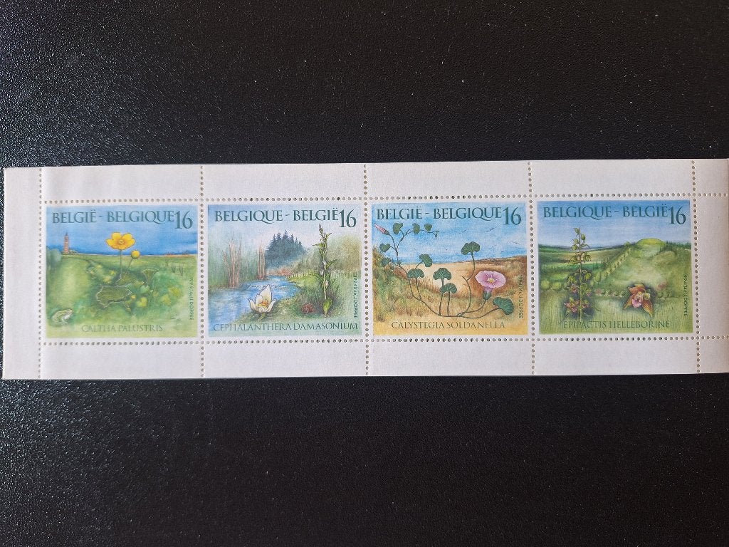 Boekje B25 - jaar 1994 - 2572-2575 - Planten, Ophalen, Postfris, Postfris