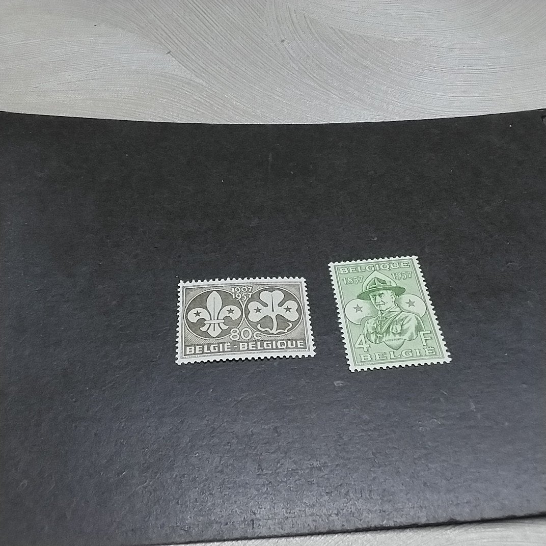 BELGIQUE 1022/1023 état neuf avec cote 1,50€, Enlèvement ou Envoi, Neuf