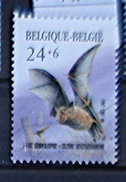 België 245 **/mnh, Verzenden, 1 plakker, Postfris, Zonder envelop