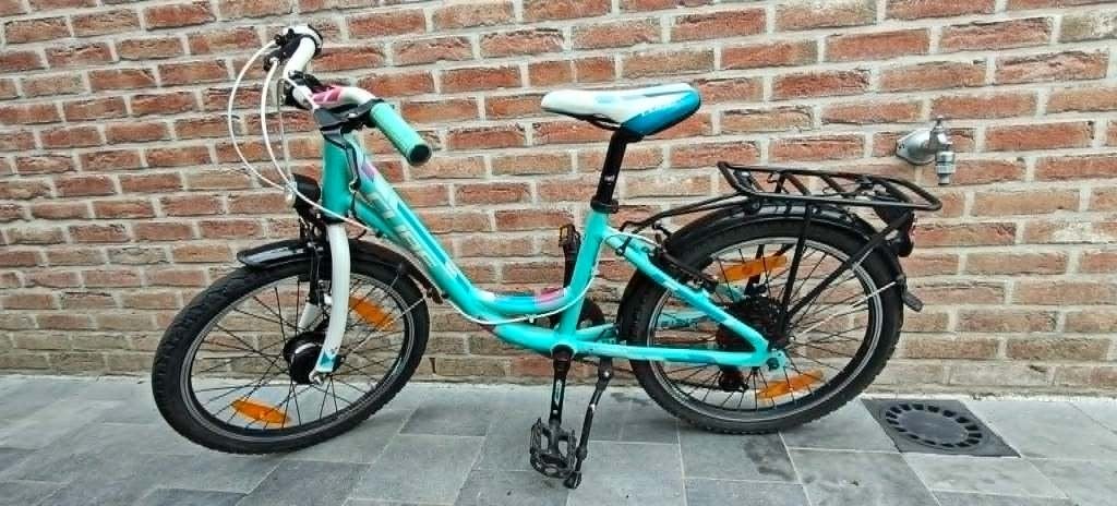 kinderfiets 20 inch, Fietsen en Brommers, Ophalen, Gebruikt, Velgrem, Versnellingen