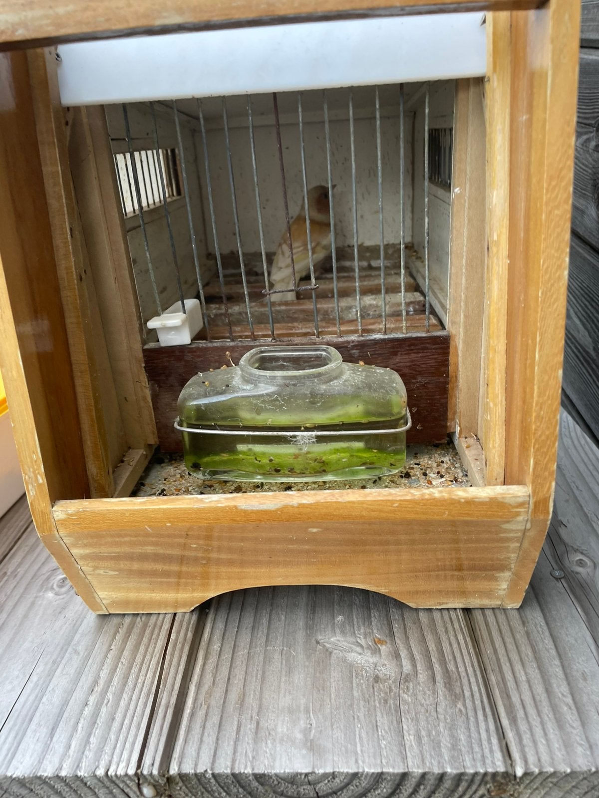 Botvink Vogels, Dieren en Toebehoren