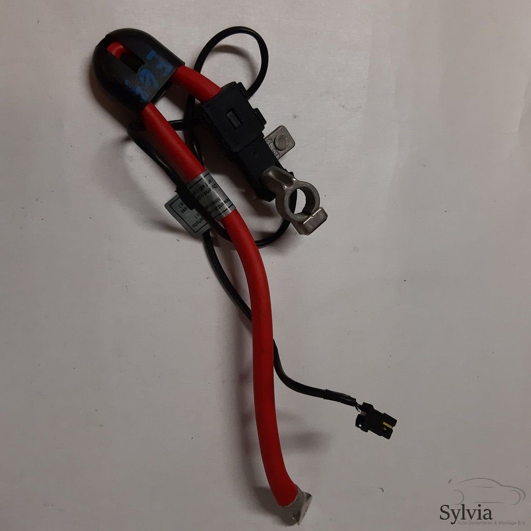 Kabelboom hoofdstroom pluskabel BMW 7 Serie E65 met ongeval, -, Utilisé, -, -