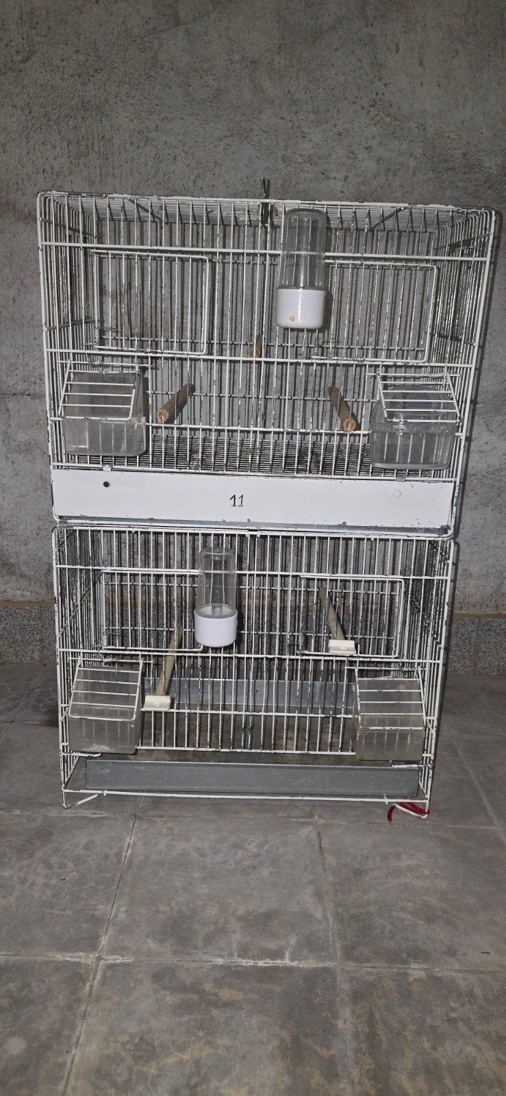 Kooi, Dieren en Toebehoren, Ophalen of Verzenden