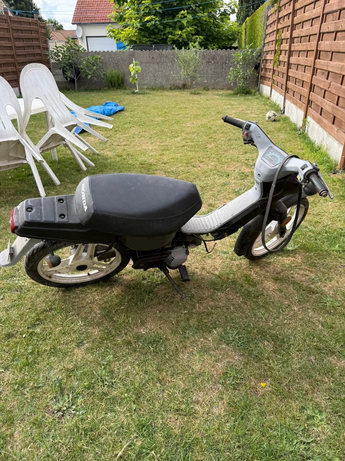 Honda Wallaroo Classe A, Vélos & Vélomoteurs, Cyclomoteurs | Honda, Enlèvement, Comme neuf