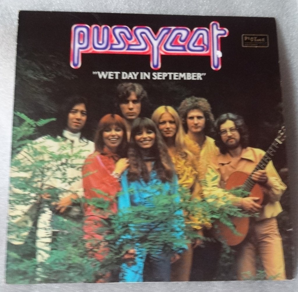 Pussycat, Ophalen of Verzenden, Pop, LP