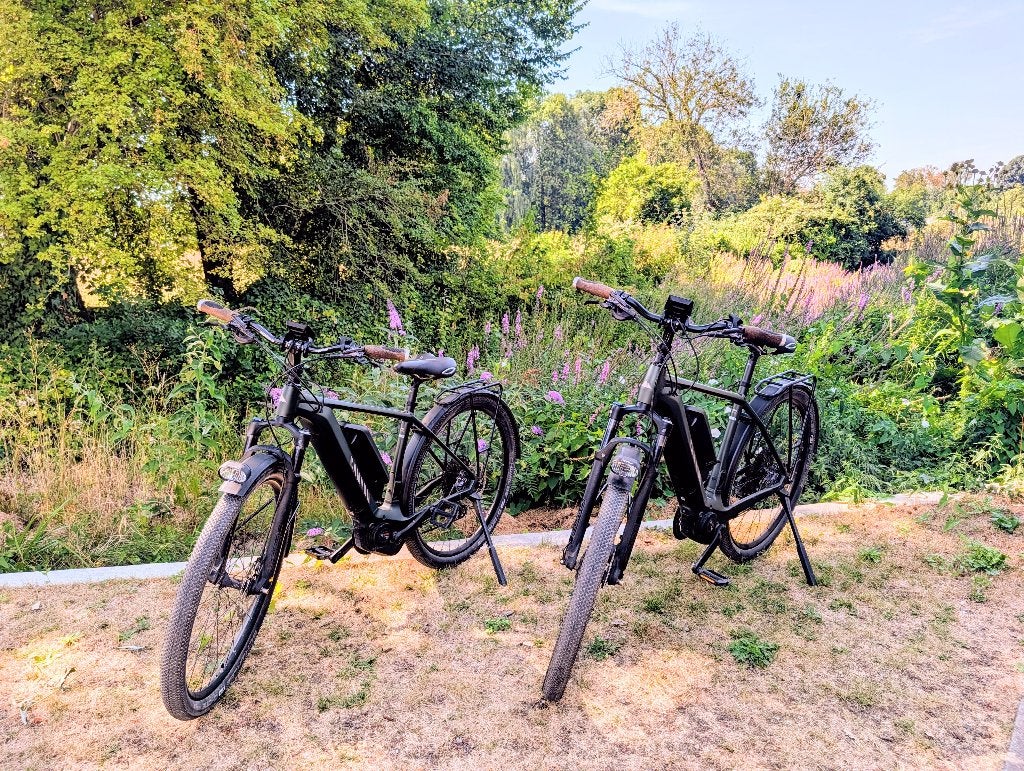 Canyon Pathlite:ON 9.0 e-bike — maat M en maat L, Ophalen, Gebruikt, 50 km per accu of meer, Overige merken