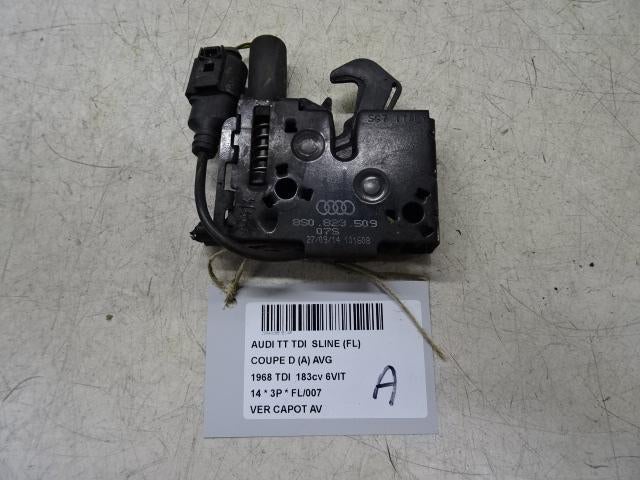MOTORKAP SLOT Audi TT (FV3 / FVP) (8S0823509), Auto-onderdelen, Gebruikt, Mevr. I. Hauben, Audi, Rue de l'Espoir 34 34
4030  GRIVEGNÉE, BE
