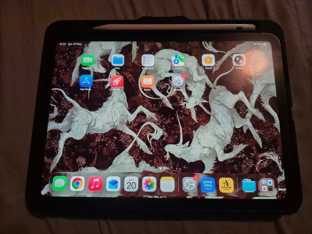 Apple Ipad 11''+ pencil, Computers en Software, Ophalen, Apple iPad, 11 inch, Nieuw
