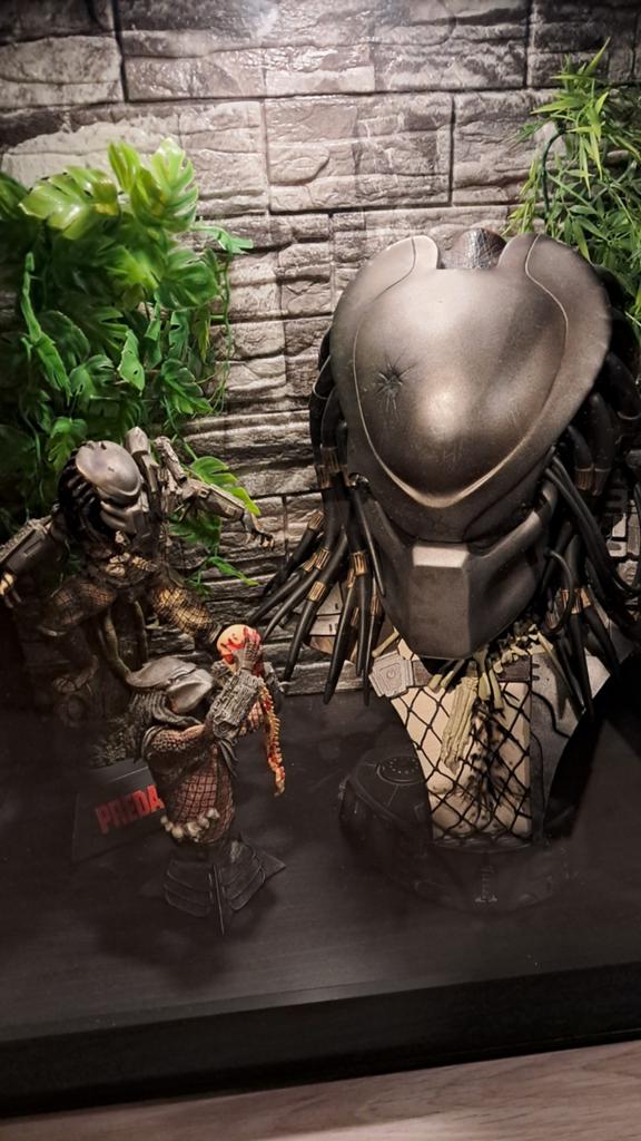 Predator sideshow, Enlèvement ou Envoi