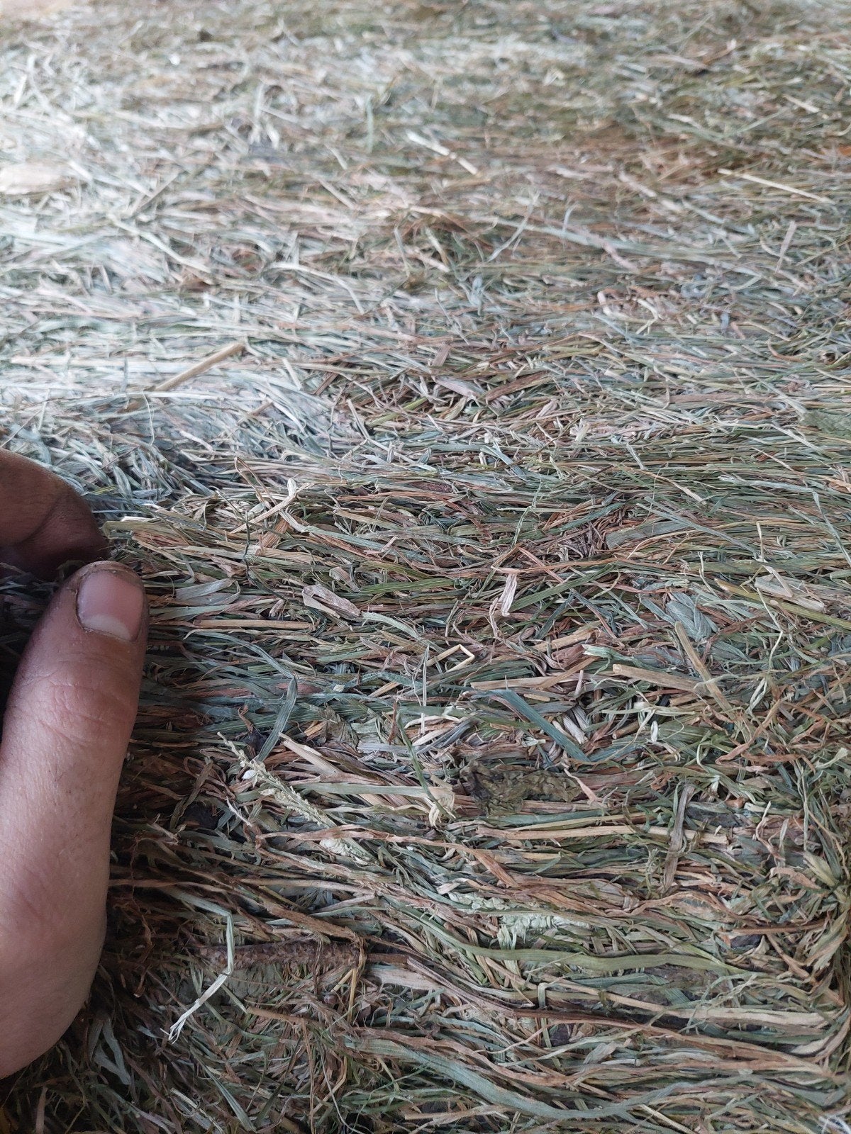2de snee droog hooi rechthoekige en bollen, Enlèvement