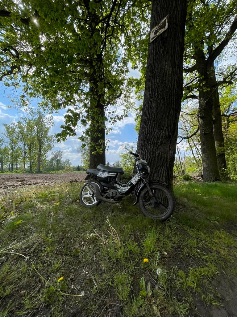 Honda wallaroo(geen papieren, Enlèvement, Comme neuf