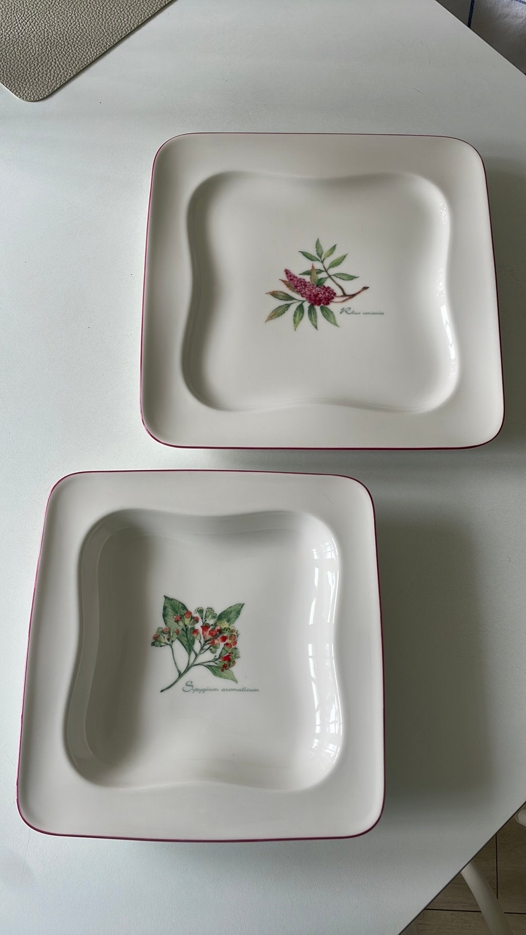 12 diepe en 12 grote borden. Villeroy & Boch, Ophalen