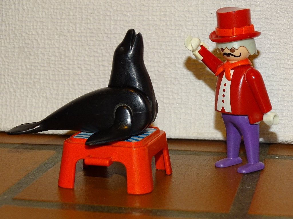 Playmobil circusact met zeehond, Ophalen of Verzenden, Gebruikt