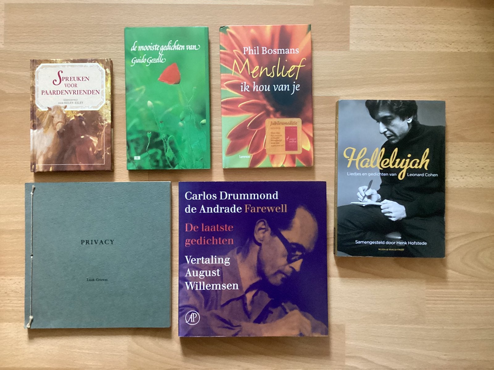 Boeken Gedichten, Boeken, Ophalen of Verzenden