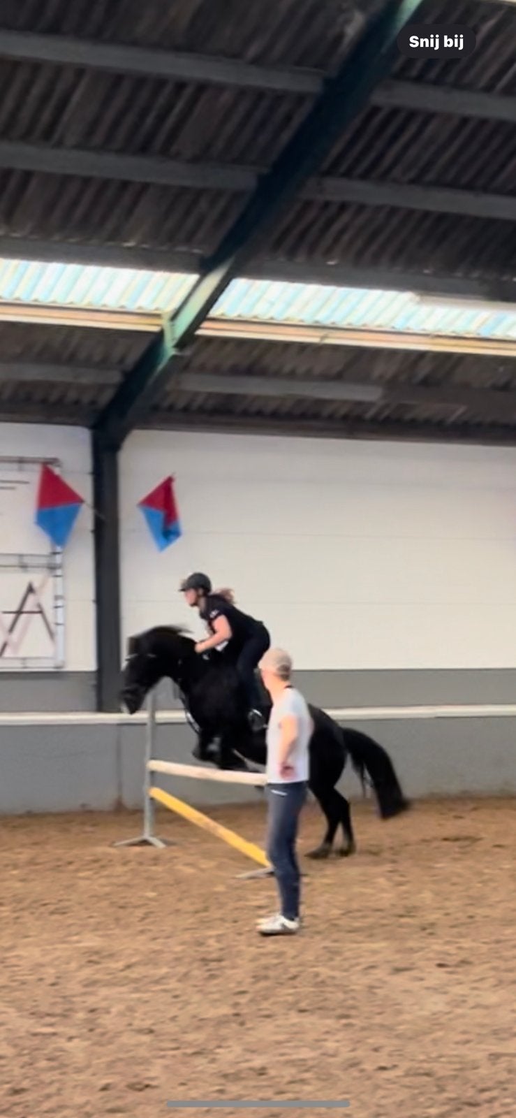 poney à vendre, Animaux & Accessoires, Enlèvement, Comme neuf