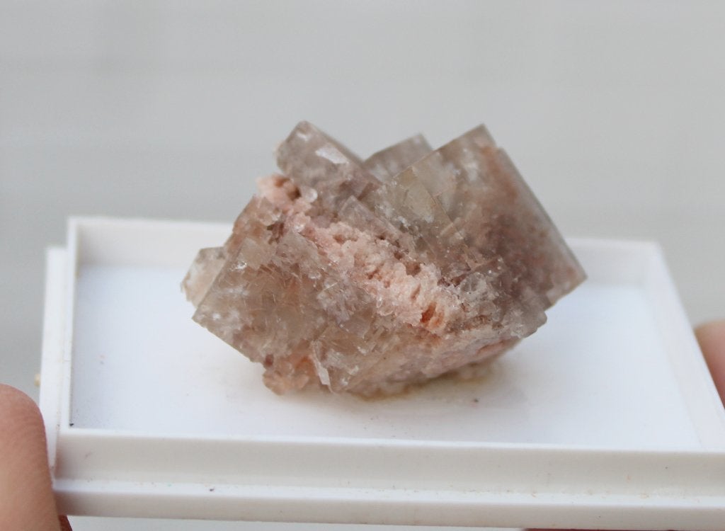 FLUORITE blanche de CLARA MIJN en ALLEMAGNE, Enlèvement ou Envoi, Minéral