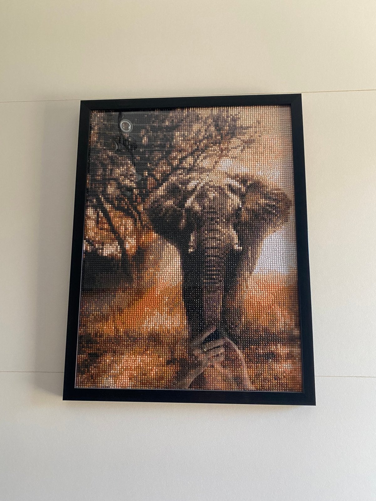 2 kaders met diamantpainting, Ophalen