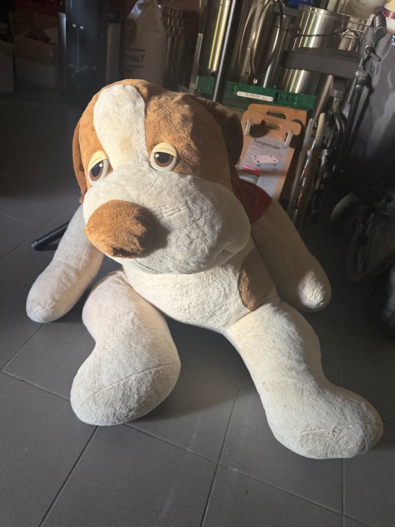 Gratis grote Knuffel, Ophalen, Gebruikt, Overige karakters, Hond