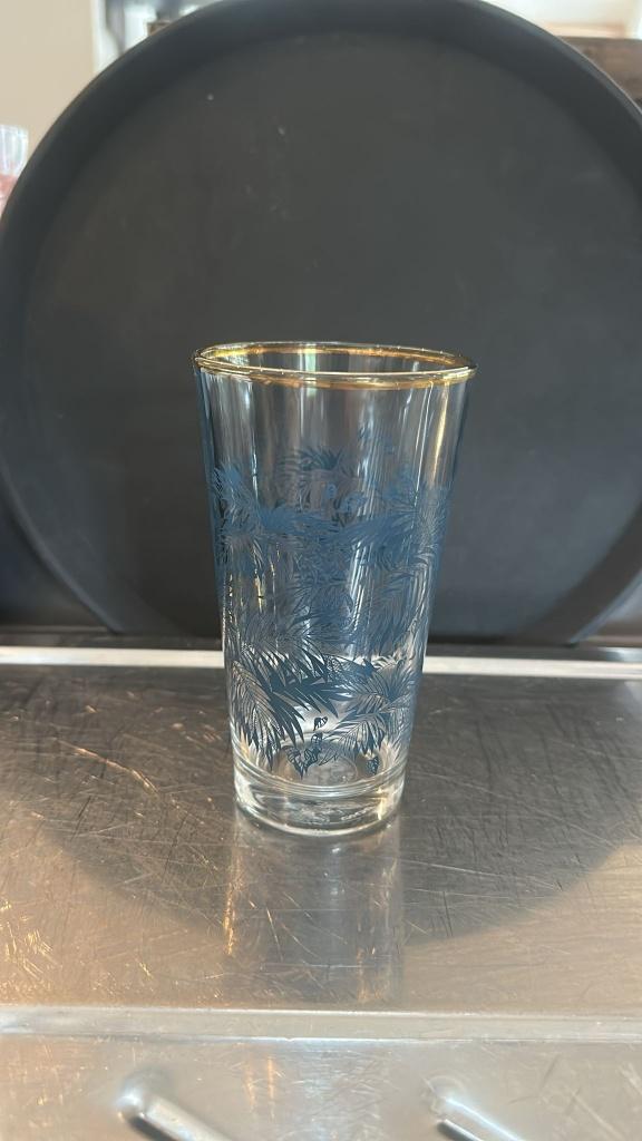 8 Bacardi longdrinkglazen, Verzamelen, Ophalen of Verzenden, Zo goed als nieuw, Borrel- of Shotglas
