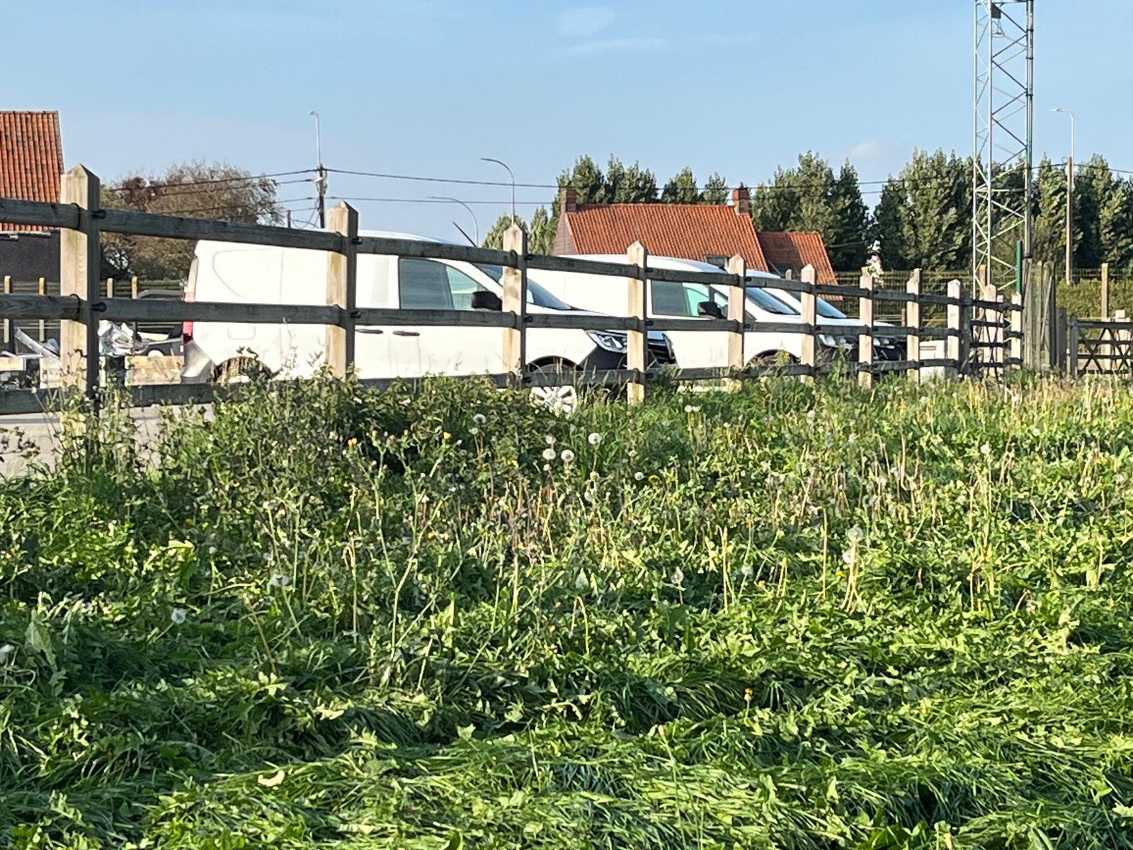 50 meter 3 ligger paardenomheining met 3 meter poort, Dieren en Toebehoren