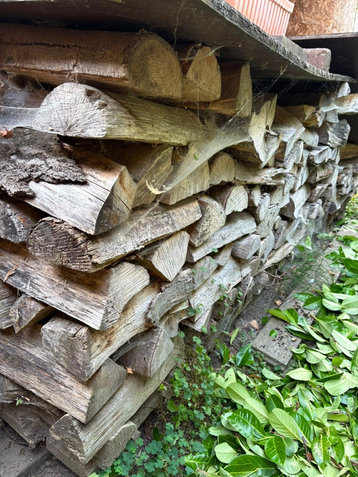 c.a. 2 kuub hout, Ophalen
