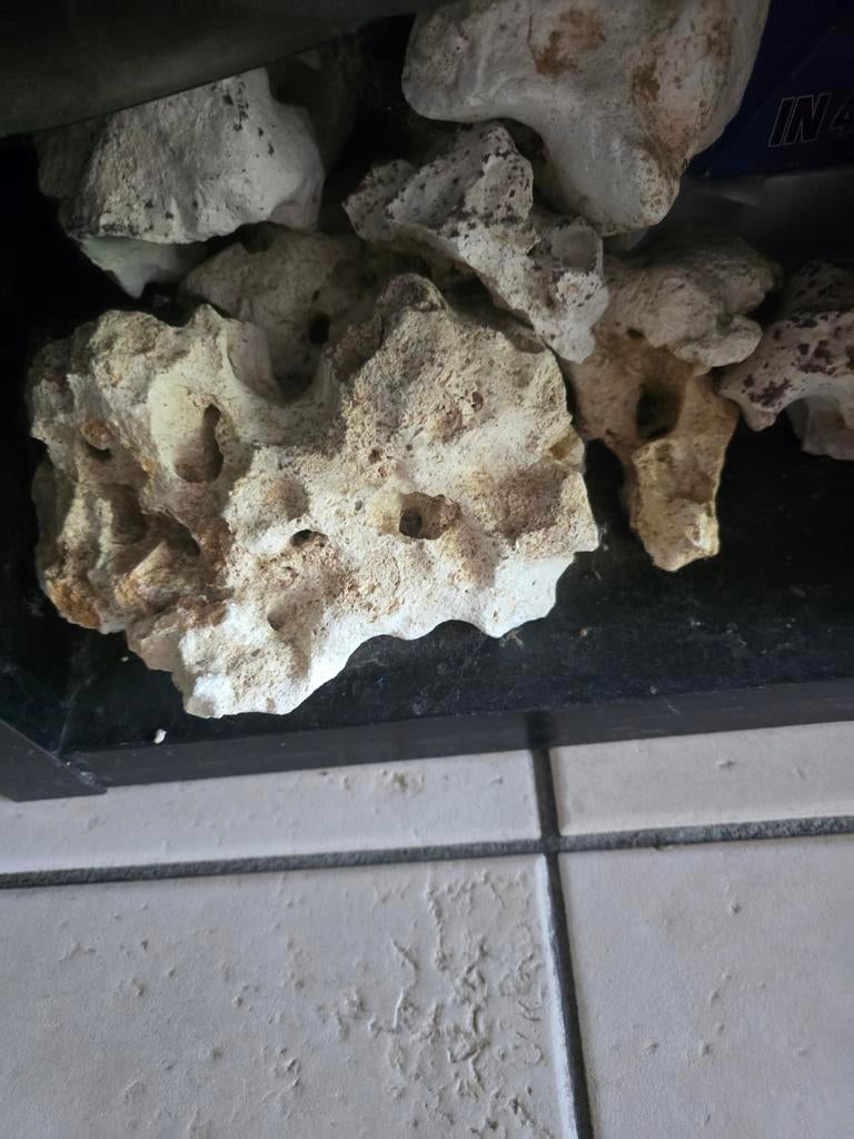 Kalkstenen te koop voor in het aquarium, Dieren en Toebehoren, Ophalen