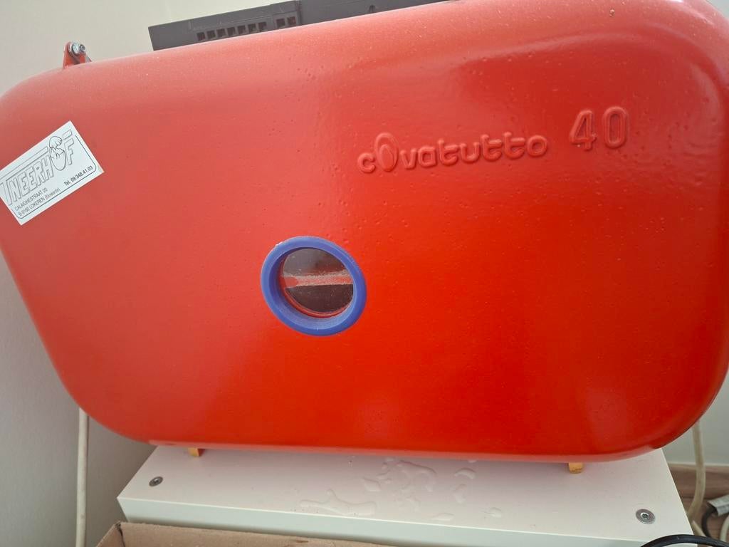 Covatutto 40 broedmachine, Ophalen of Verzenden