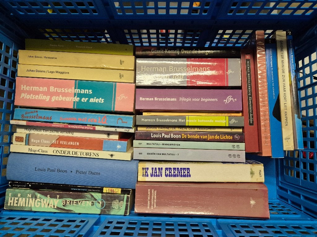 Literatuur - lot boeken NL-talig, Boeken, Ophalen, Gelezen