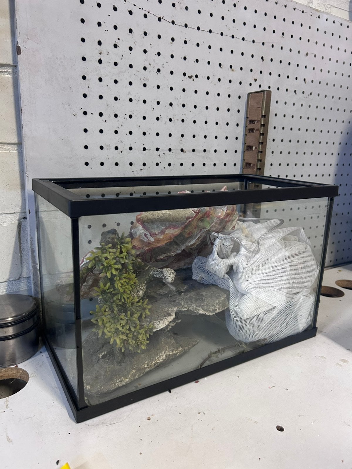 Aquarium, Dieren en Toebehoren, Ophalen, Zo goed als nieuw