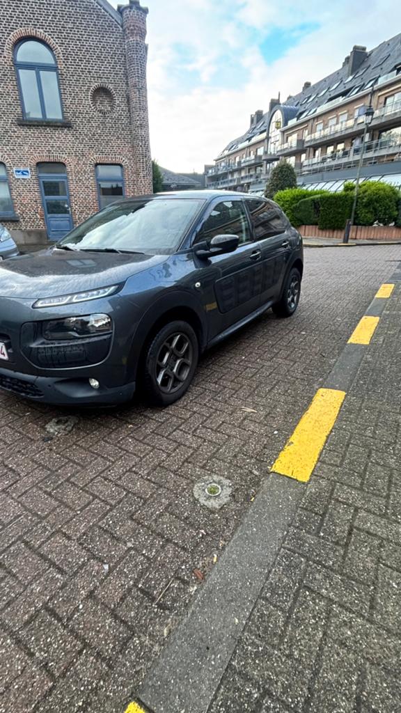 Citroën C4 Cactus – 2016 – 71.500 km, Autos, Argent ou Gris, Achat, Euro 6, Entreprise
