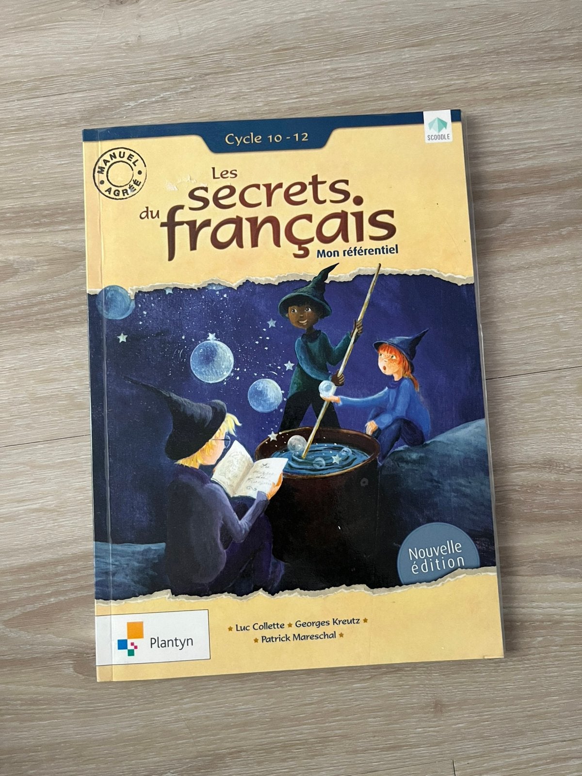 Franse grammatica, hulp bij de Franse cursus, Boeken, Ophalen, Zo goed als nieuw