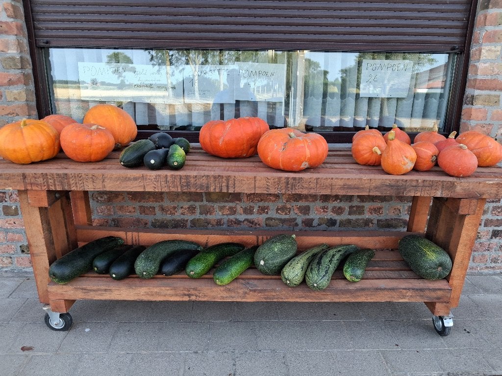 Bio Pompoenen en courgettes, Diversen, Ophalen