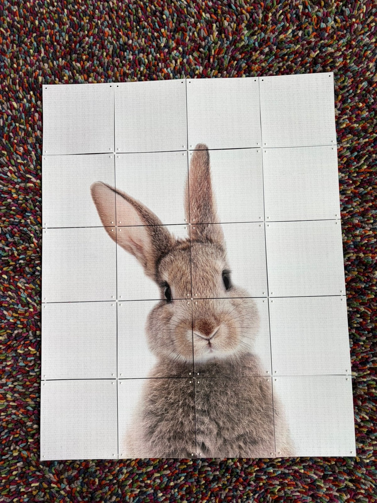 Ixxi - konijn, Verzamelen, Posters, Ophalen, Rechthoekig Staand, Deurposter of groter, Zo goed als nieuw