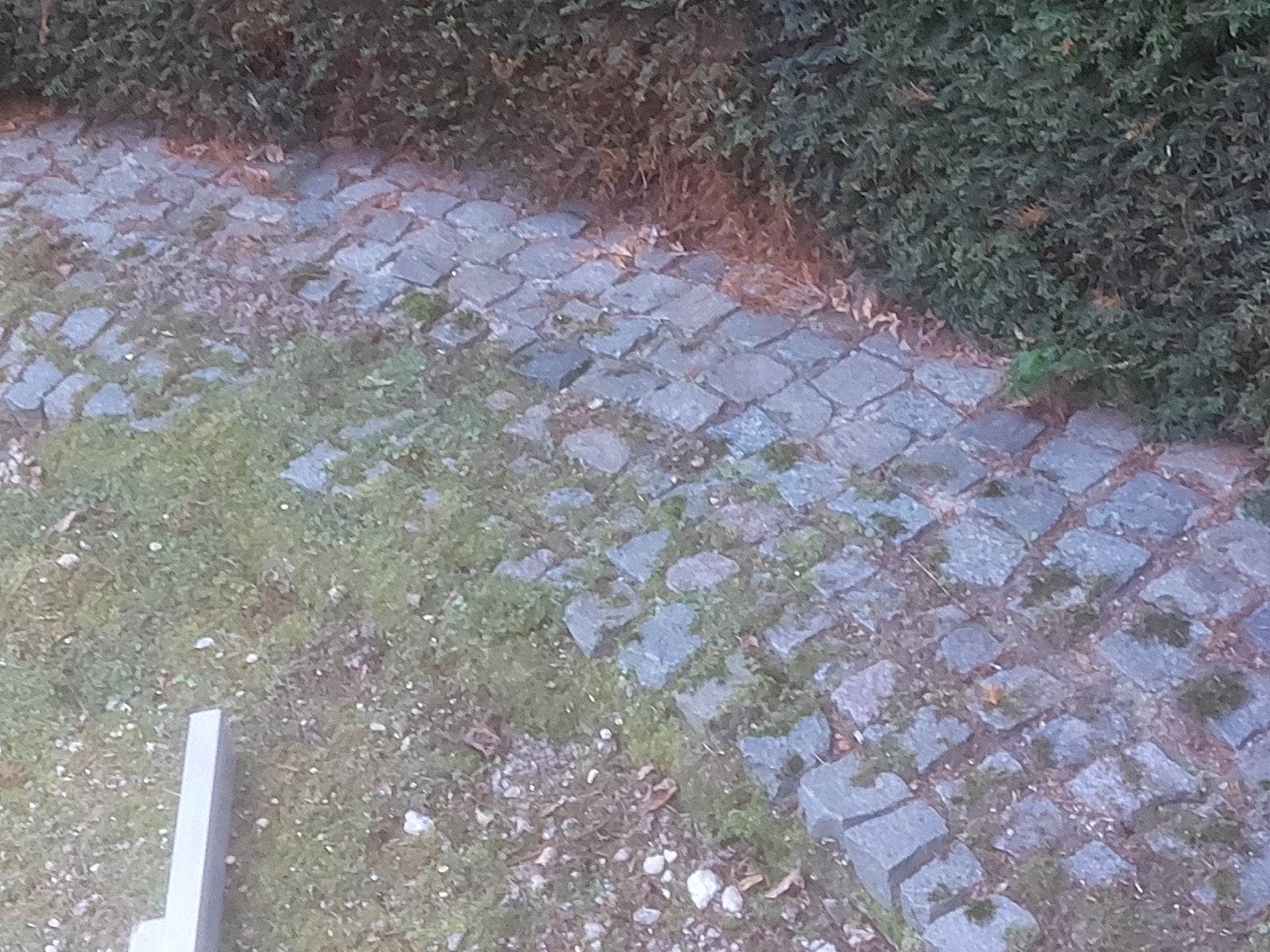 Gratis af te halen kasseien, Tuin en Terras, Ophalen, Gebruikt, Overige typen