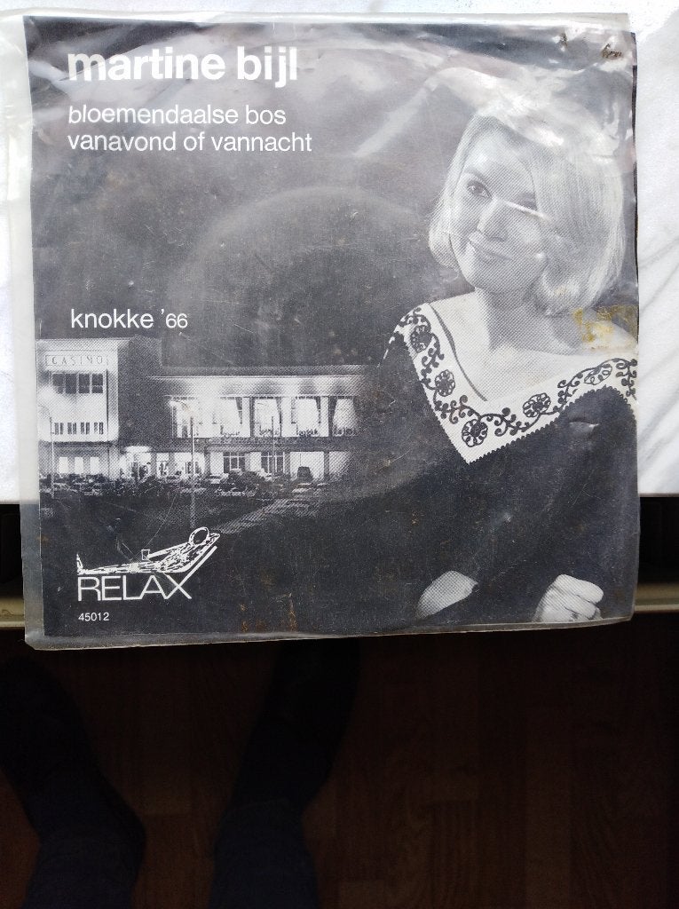 †MARTINE BIJL: "Bloemendaalse bos" - Nederlandse Vertaling!, Pochette photo, Enlèvement ou Envoi
