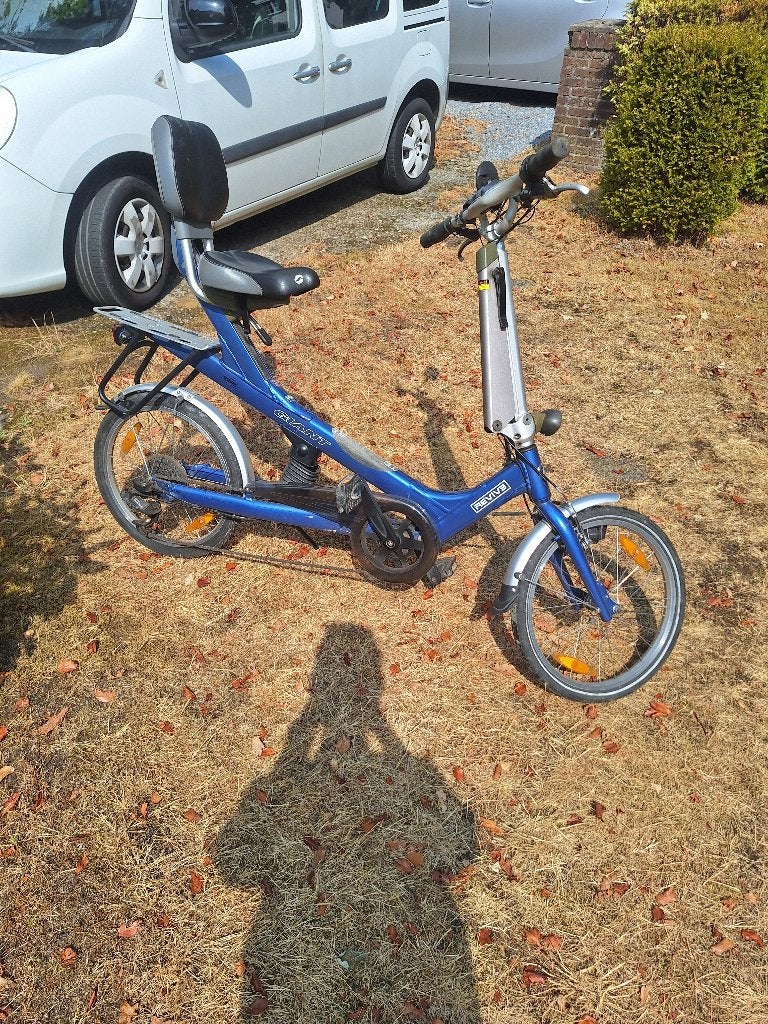 Giant Revive - lage instap therapiefiets / comfortfiets, Vélos & Vélomoteurs, Enlèvement, Giant, Vitesses