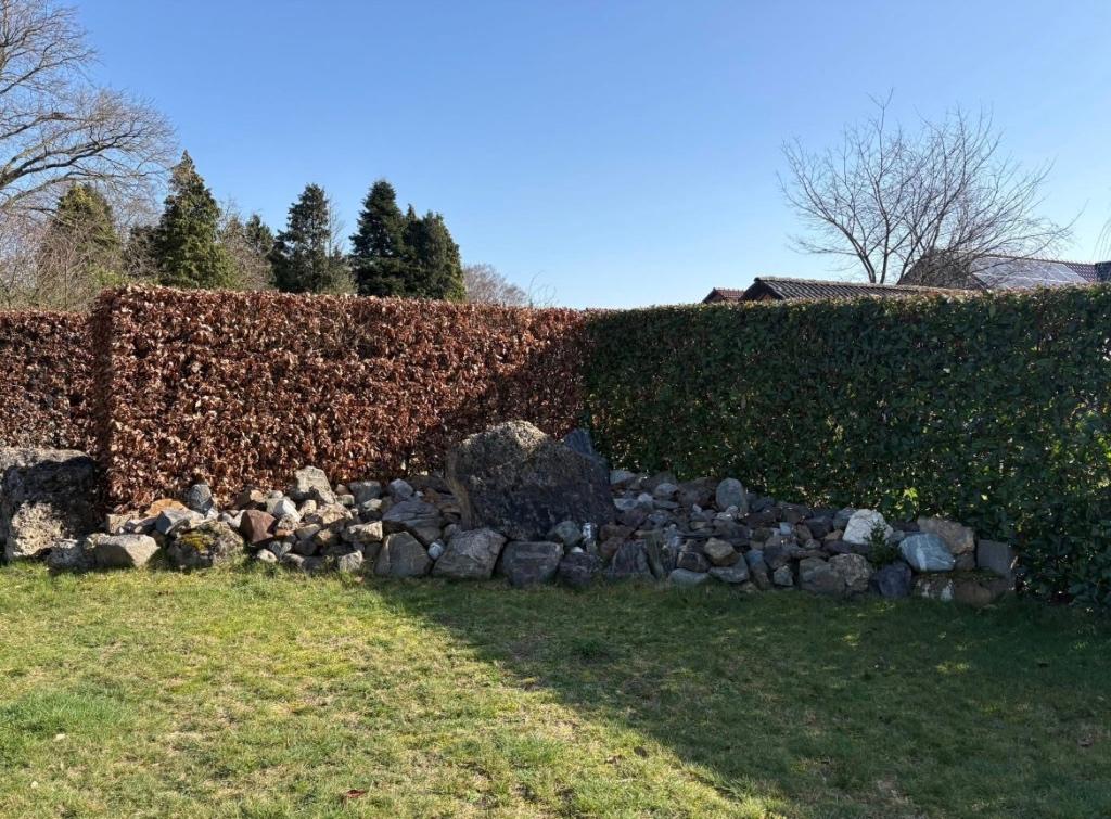 Grote tuin/sier keien, Tuin en Terras, Ophalen, Overige materialen, Kei