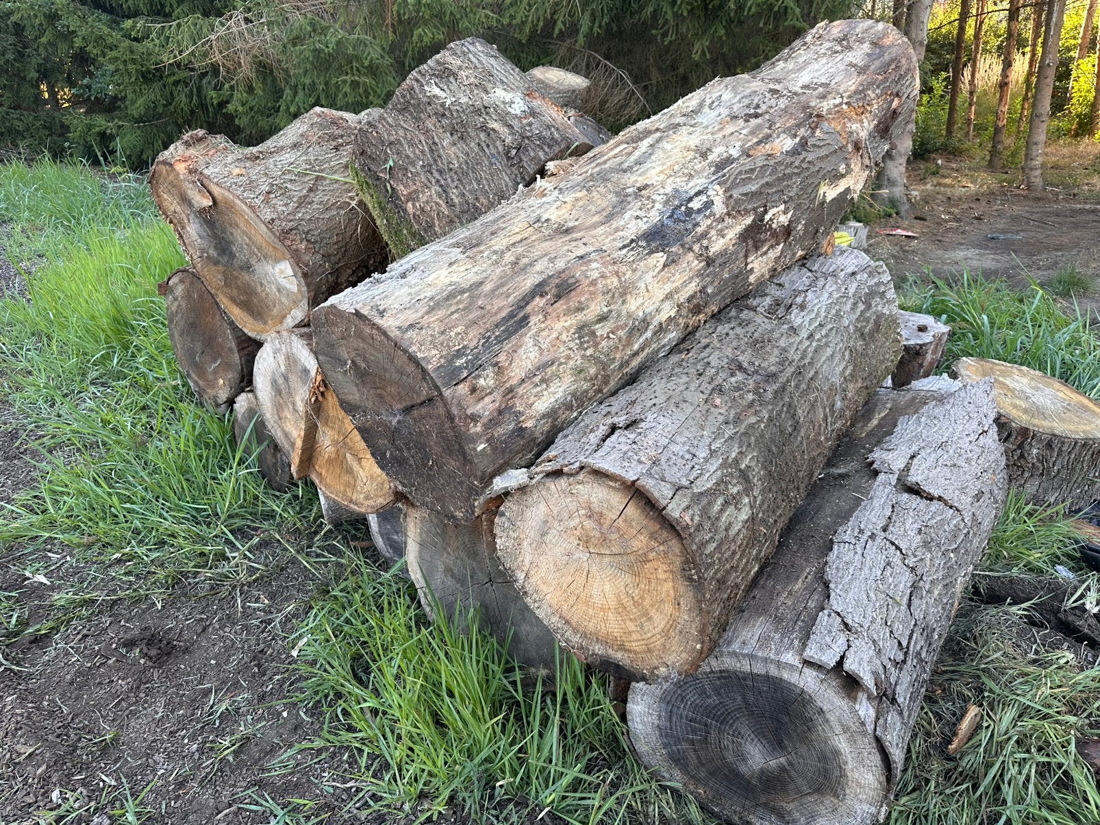 Eiken stammen ., Tuin en Terras, Brandhout, Ophalen, Stammen